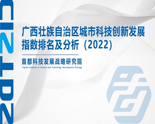 男人吊女人的BB【成果发布】广西壮族自治区城市科技创新发展指数排名及分析（2022）